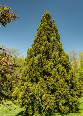 Fototapeta premium A picturesque public park and botanical garden.