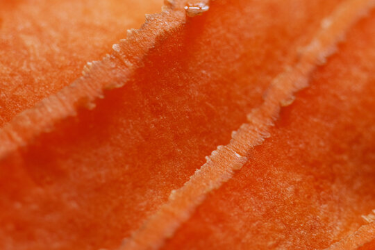 Macro texture of sliced carrot. Daucus Carota are a good source of several vitamins and minerals, especially biotin, potassium, and vitamins A from beta carotene, K1 phylloquinone and B6