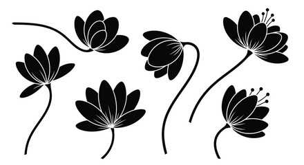 Obraz premium Adobe Illustrator Artwork
