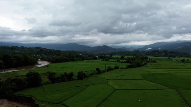 Pemandangan Udara Sawah Hijau dan Aliran Sungai dengan Latar Belakang Pegunungan di Bawah Langit Mendung