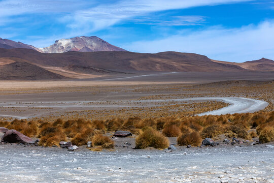 Winding Dirt Road Through Ichu Grass Desert Toward Snow-Capped Volcano, Bolivian Altiplano
