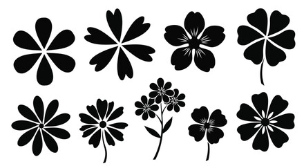 Fototapeta premium Adobe Illustrator Artwork