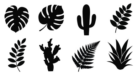 Adobe Illustrator Artwork © Jane