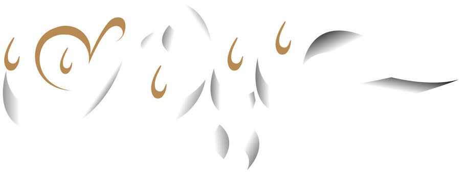 Haider Arabic Calligraphy PNG | Transparent Background Arabic Name Logo, Custom Typography Design, Islamic Calligraphy Art