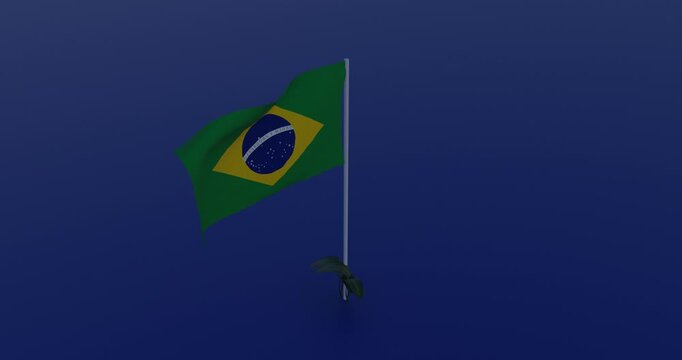 National symbol of brazil with smooth fabric movement 3d animation