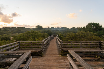 Fototapeta premium Morning sun above a weathered wooden boardwalk at First Landing State Park