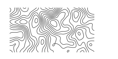 Seamless black and white abstract vector background featuring a vintage floral pattern with wave lines and zebra style swirls for an elegant wallpaper design © SELIM