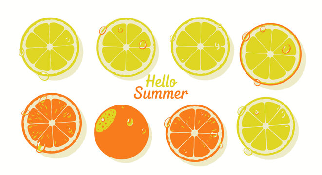 Citrus fruit slices with hello summer text on white background