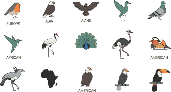 Colorful flat world bird icon set featuring eagle ostrich peacock toucan pigeon vector collection for wildlife geography education design