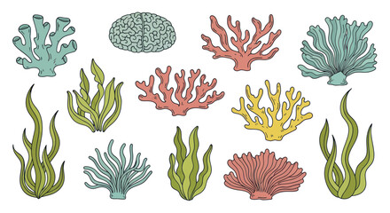 Collection of colorful coral reef plants and seaweeds. © Nabih
