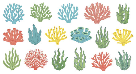 Collection of colorful coral reef plants and seaweeds. © Nabih