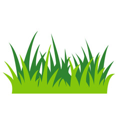 Tall green grass clump, nature vegetation element, lawn field, vector illustration icon design. © Wisnu
