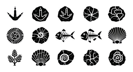 Collection of ancient fossils and prehistoric imprints. © Yuni