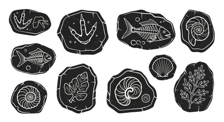 Collection of ancient fossils and prehistoric imprints on dark stone. © Yuni