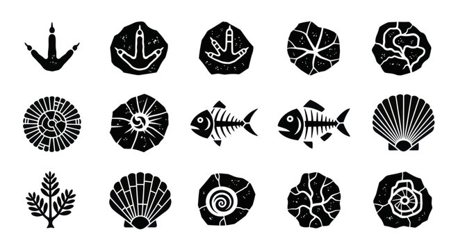 Collection of ancient fossils and prehistoric imprints.