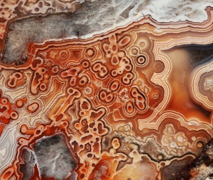 mexican crazy lace agate macro close-up mineral crystal orange brown warm tubes orbs