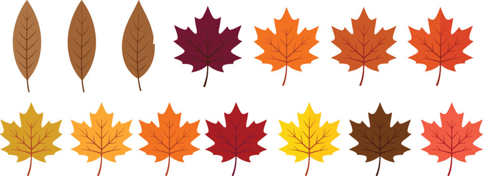 Autumn Leaves Vector Collection - Multiple Maple Leaf Designs with Seasonal Fall Colors and Variations
