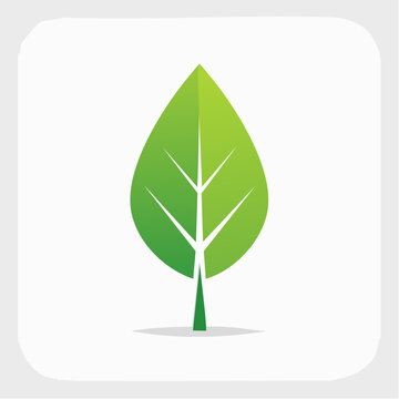Green leaf icon