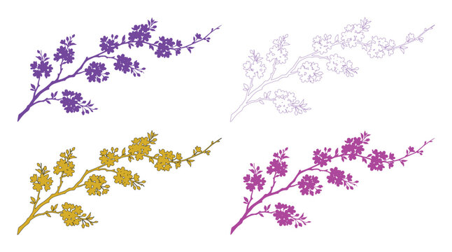 Elegant cherry blossom branch vector set, delicate floral design elements, blooming sakura flower illustrations, botanical spring bloom graphics for wedding invitations and decorative projects