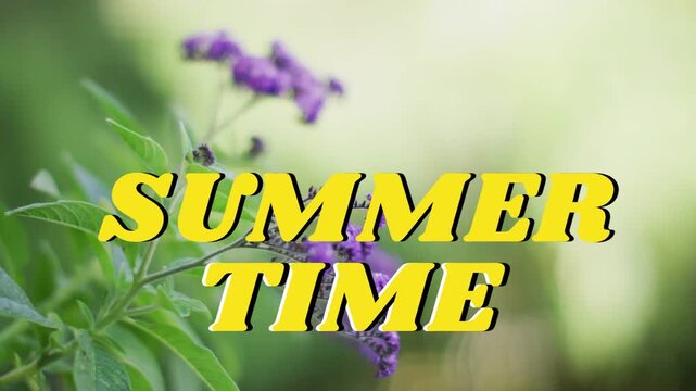 Frames nudging purple bloom into frame behind yellow SUMMER TIME title, revealing marketing focus
