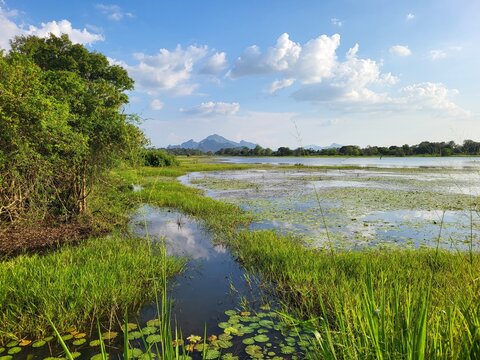 Lac dans la r&eacute;gion de Sigiriya, Sri Lanka