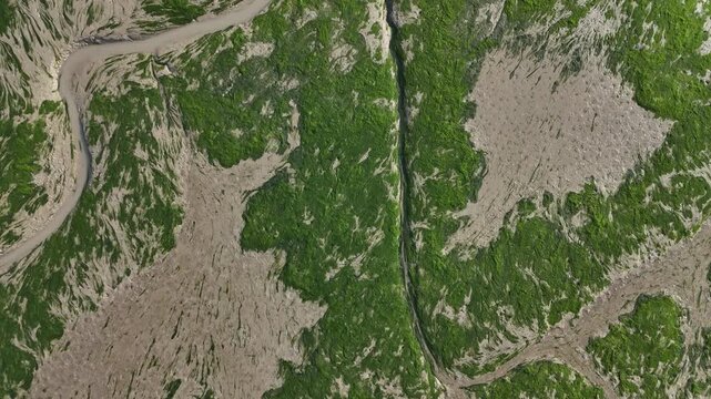 Low flying top-down drone shot skimming over green mossy tidal flats