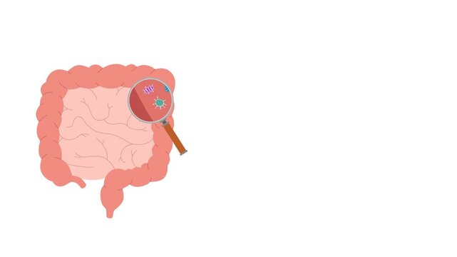 bacteria in intestines with magnifying glass for health education