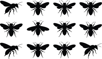 Black bee silhouettes, insect icons, flying bees, nature insects, pollinators, honeybees, vector shapes, insect collection, bee set, isolated bees © Vector World