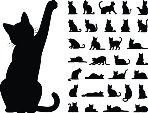 Black cat silhouettes in various poses, playful cats, sitting and stretching cats, cat vector icons, animal illustrations, feline shapes, pet graphics