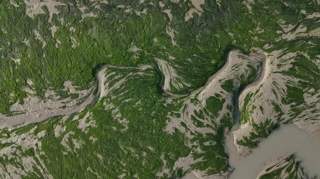 Aerial top down view of tidal channels and green seaweed on mudflats