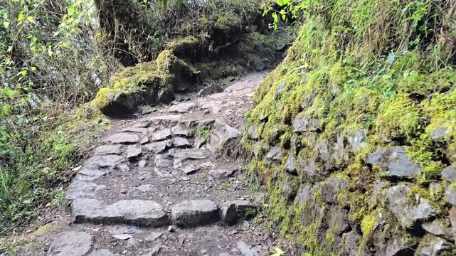 Cusco Region, Peru - 26 June 2024. POV moving uphill on rough stone steps and dirt path, bordered by large rocks, moss, and dense vegetation, with trees arching overhead and light breaking through.