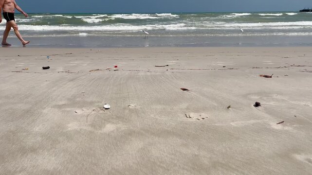 People walking on the beach