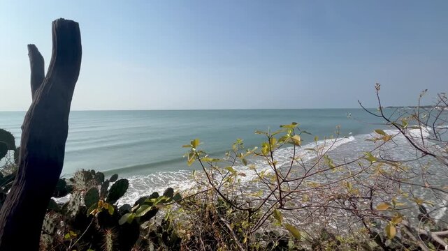 Tropical shoreline beach sunny day