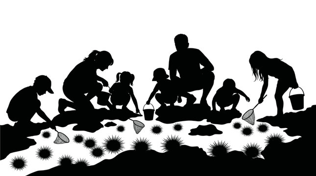 Black silhouette vector illustration of a family and children exploring a rocky tide pool, catching sea urchin with nets and buckets during summer vacation.