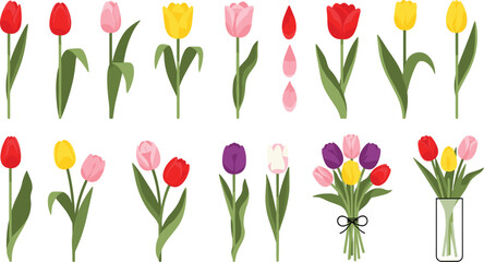 Tulip Flower Icon Set with Single Stems, Colorful Blooms, Loose Petals, Tied Bouquet, and Vase for Spring Botanical Floral Designs. © MinnatunAkter