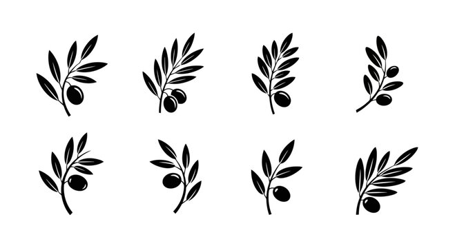 Black olive branch icons on white.