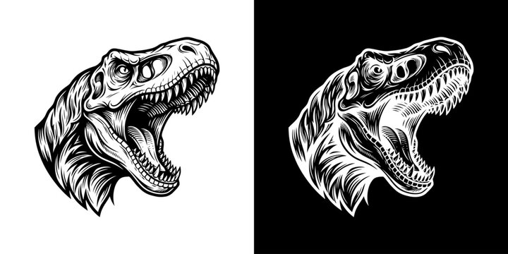 Detailed T-Rex Head Illustration in Black and White.