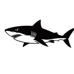 Fototapeta premium A menacing black and white illustration of a great white shark with sharp teeth bared.