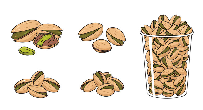 Set of hand drawn pistachio nuts in shells and shelled pieces with a clear plastic cup filled to the brim with them.