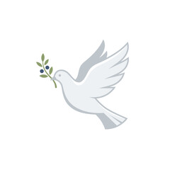 Fototapeta premium White dove carrying an olive branch in flight