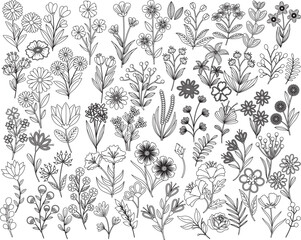 Fototapeta premium Line art flowers set vector Amazing collection for design projects