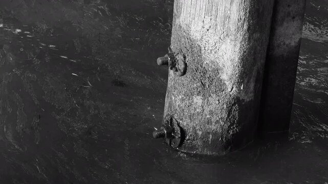 Close up wooden piling with rusty steel hardware as small waves move in and hitting the piling, in black and white.