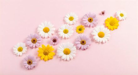 Fototapeta premium Delicate daisy arrangement on a soft pink background
