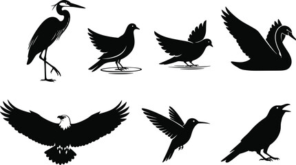 Fototapeta premium Black bird silhouette collection with flying perched and water birds isolated on white background wildlife vector illustration set
