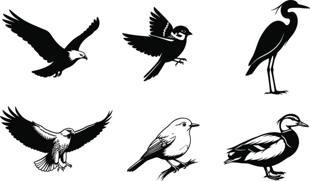 Black bird silhouette and line art set with flying perched and wading birds isolated on white background wildlife vector illustration