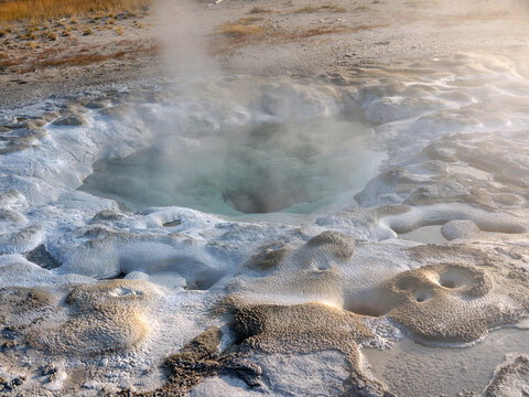 Spasmodic Geyser with steam rising from hot boiling water in Yellowstone 