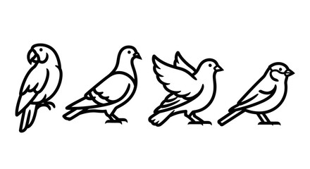 Obraz premium Line art illustrations of various bird species in black and white
