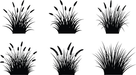 Black reed grass silhouette set with cattails and wild wetland plants, natural botanical elements for landscape, nature, and vector design © Fahim Creative
