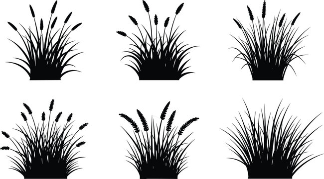 Black reed grass silhouette set with cattails and wild wetland plants, natural botanical elements for landscape, nature, and vector design