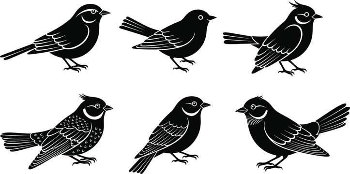 Black small bird silhouette set with perched songbirds isolated on white background wildlife vector illustration collection